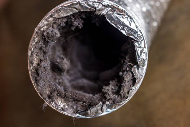 Best Best Air Duct Cleaning Company  in Gunnison, CO