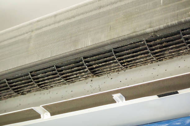 Best Affordable Air Duct Cleaning  in Gunnison, CO